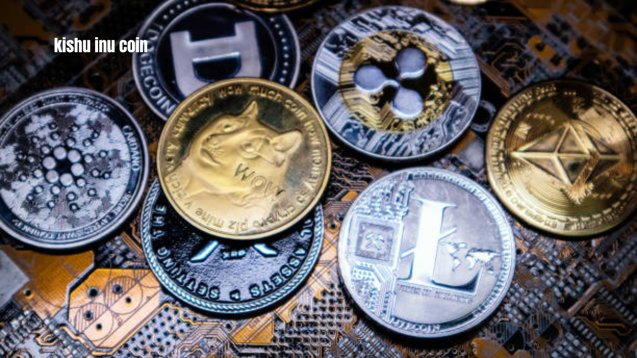 kishu inu coin